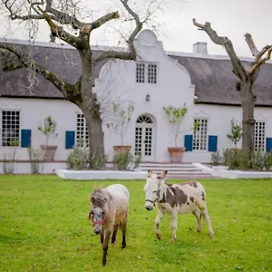 https://san-gabriel-historic-farm.hotels-capetown.com